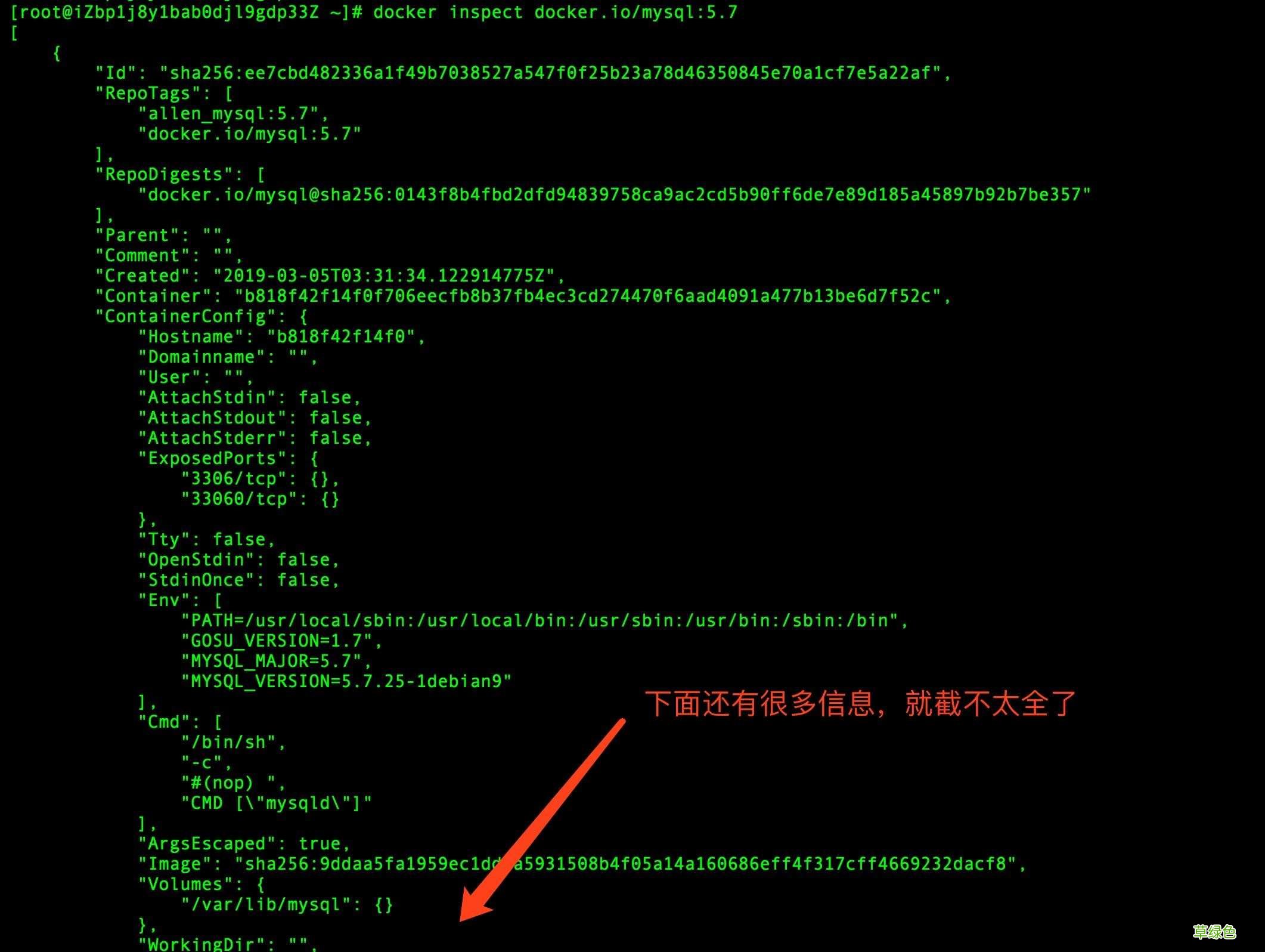 Docker 查看镜像信息的方法