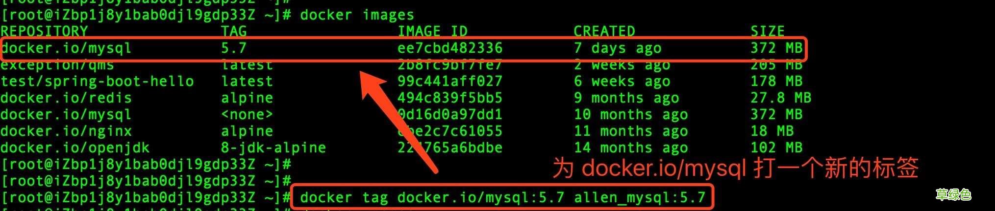 Docker 查看镜像信息的方法