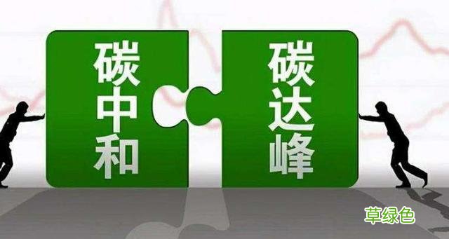 c代表什么元素? c五行属什么