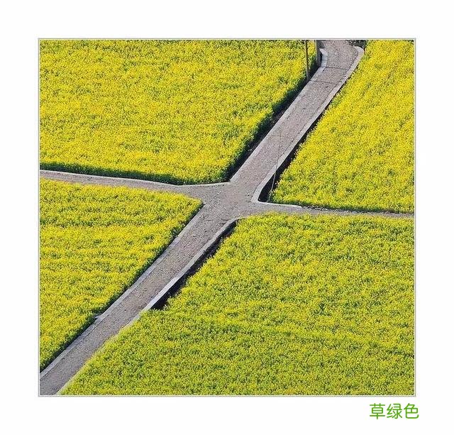 说文解字：三人行 三男是什么字