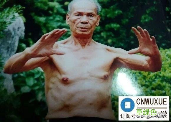 内功十二大劲注解 劲五行属什么