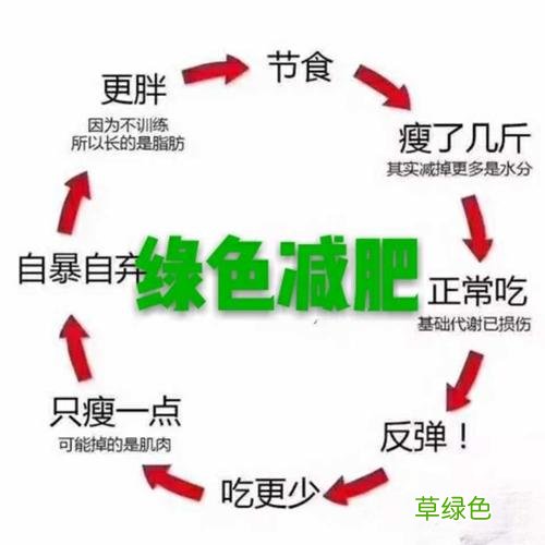 不吃药的减肥方法食物的最好的最快的方法是什么 不吃药的减肥方法