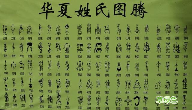 起名德义说：张姓宝宝的取名方法详解 凤姓取名字