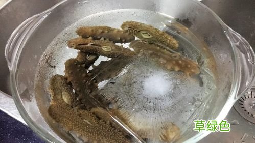 淡干海参的泡发方法 海参的泡发方法