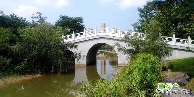 有谁像我一样不为名不为利，废寝忘食上头条？ 利名字