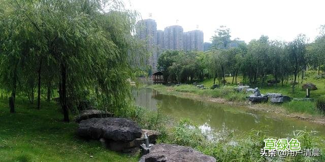 有谁像我一样不为名不为利，废寝忘食上头条？ 利名字