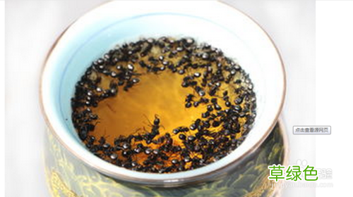 黑蚂蚁的功效与作用及禁忌 黑蚂蚁的功效