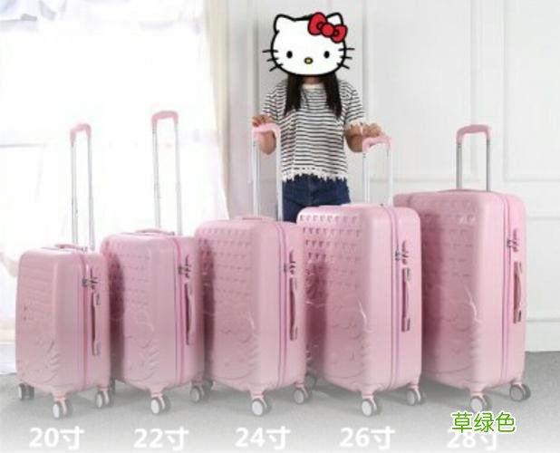 24寸箱子能带上飞机吗 20寸登机箱