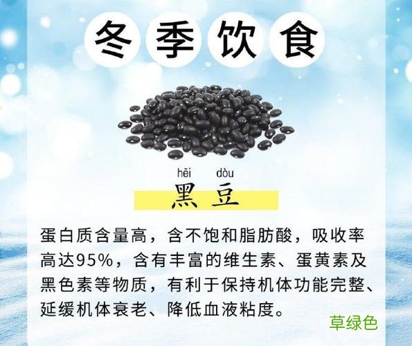 冬天食补吃什么最好 冬季健康饮食