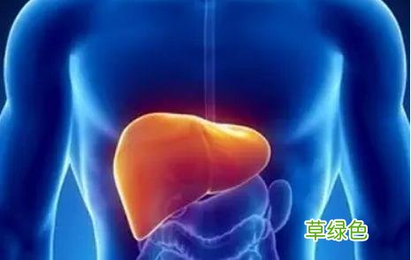 肝硬化晚期腹水能治愈吗 肝硬化晚期腹水