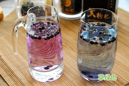 黑枸杞子怎么泡水喝 枸杞子泡水放多少
