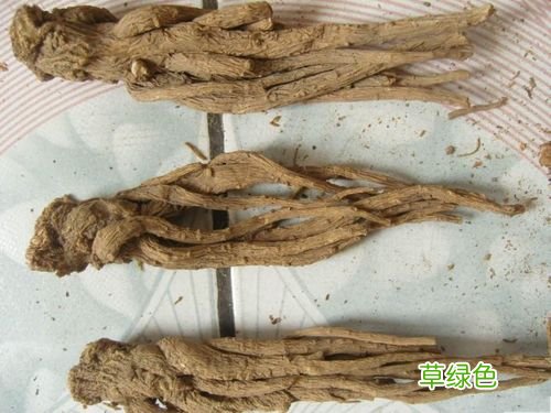 当归粉的美容功效 当归的美容功效