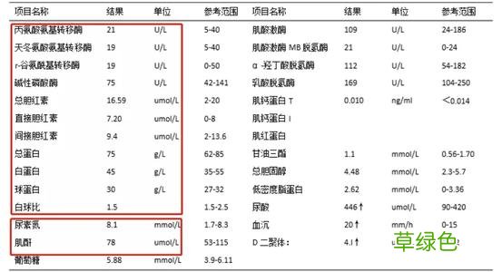 肝功能异常的表现 肝功能异常的表现