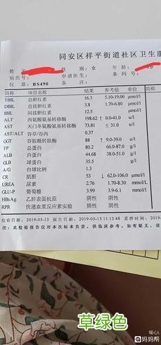 谷氨酸氨基转移酶 谷氨酸氨基转移酶