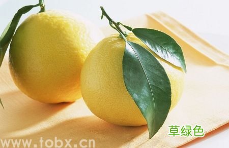 柚子的功效与作用
