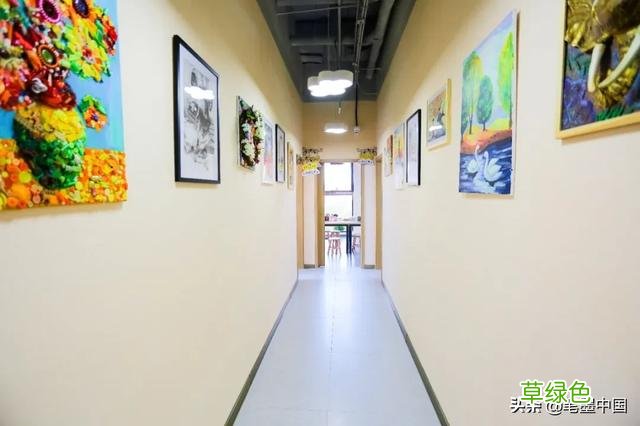 笔墨中国第七届微展：童扬国际艺术教育 博晗什么意思