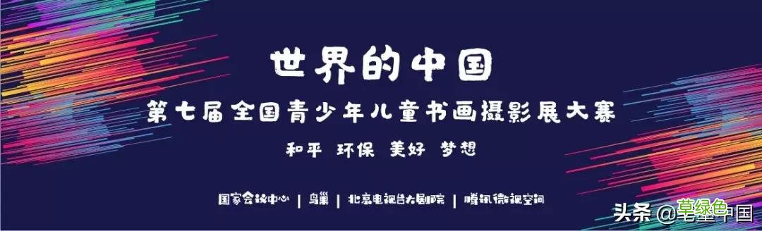 笔墨中国第七届微展：童扬国际艺术教育 博晗什么意思