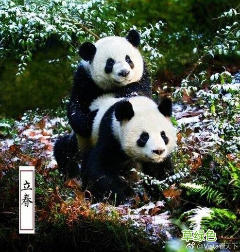大B神脱口秀：英雄联盟里如何跟UZI打SOLO？这办法能稳赢！ 卢什么轩好听