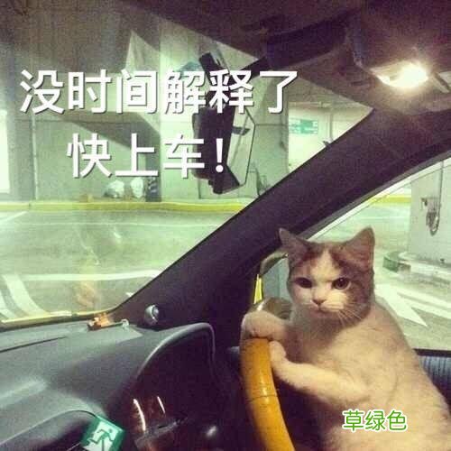 大B神脱口秀：英雄联盟里如何跟UZI打SOLO？这办法能稳赢！ 卢什么轩好听