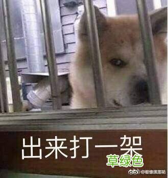 大B神脱口秀：英雄联盟里如何跟UZI打SOLO？这办法能稳赢！ 卢什么轩好听