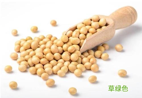 雌性激素食物有哪些 雌性激素食物