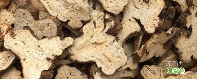 苍术的功效作用 白术的作用和功效