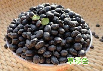 黑豆的功效与作用及营养价值 黑豆的功效与作用
