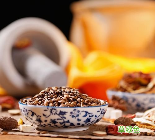 大麦茶怎么喝 大麦茶的做法