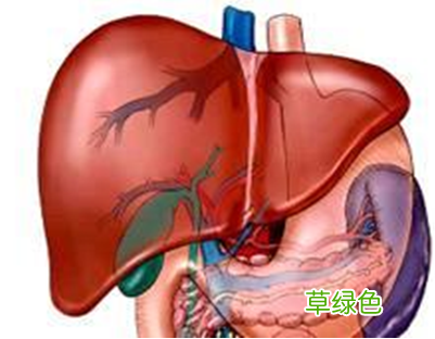 肝脏多发囊肿有什么症状 肝脏多发囊肿