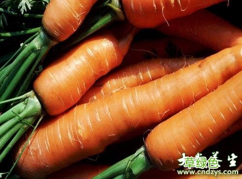 吃什么食物保护肝脏 保护肝脏的食物
