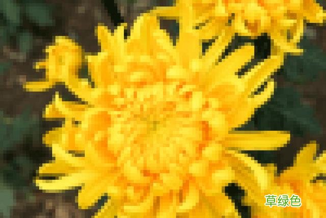 急！拉屎竟要等「菊花」同意？憋不住了怎么办？ 名字静远