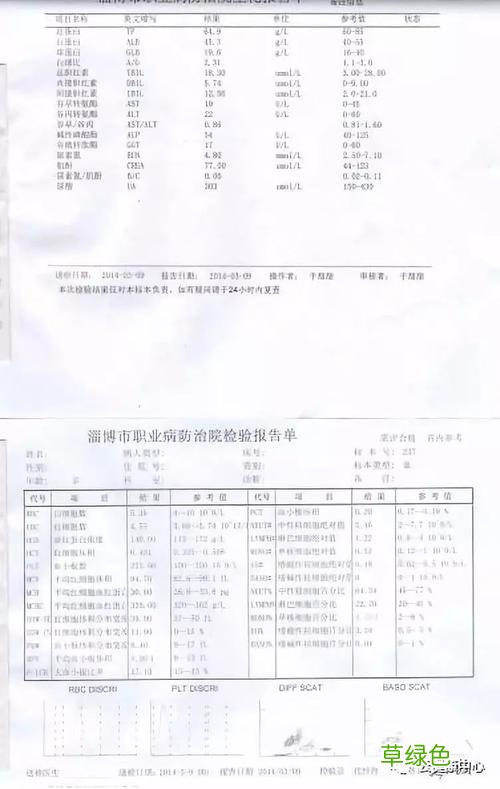 单核细胞综合症是什么 单核细胞综合症