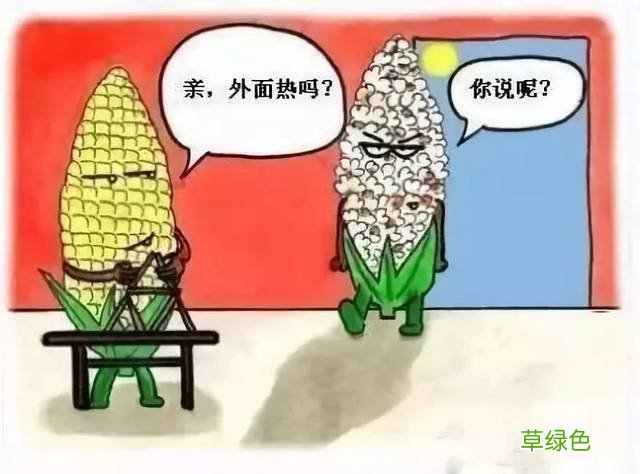 大冬天为什么会中暑 冬天会中暑吗