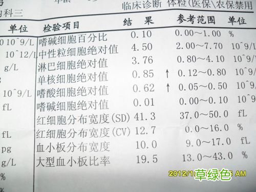 单核细胞百分比高有可能感染艾滋病吗 单核细胞百分比高