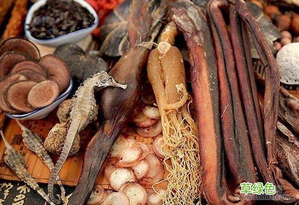 补肾壮阳中药配方大全(绝密收藏 补肾壮阳中药配方食补)