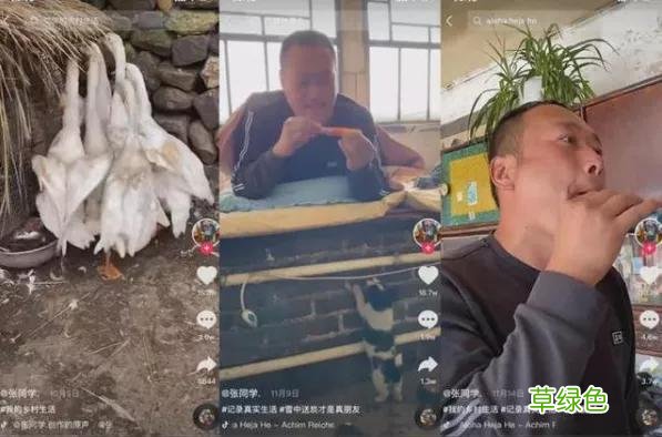 爆红的“张同学”，为何不可复制？ 名字张是什么