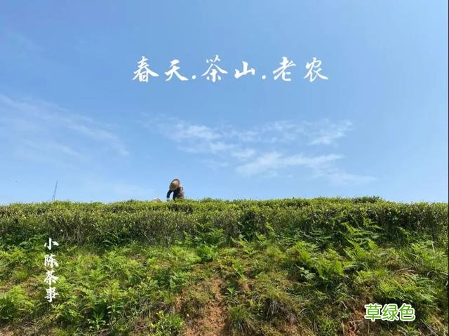 倒春寒年份的白茶，究竟有哪里好，喝过的人都忘不了？ 名字李熏