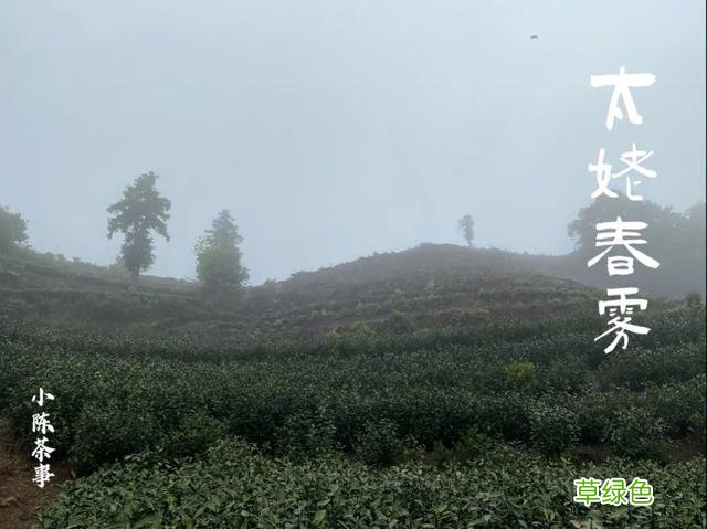 倒春寒年份的白茶，究竟有哪里好，喝过的人都忘不了？ 名字李熏