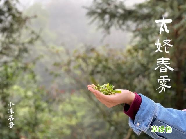 倒春寒年份的白茶，究竟有哪里好，喝过的人都忘不了？ 名字李熏