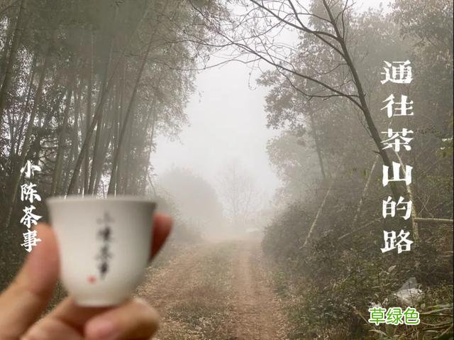 倒春寒年份的白茶，究竟有哪里好，喝过的人都忘不了？ 名字李熏