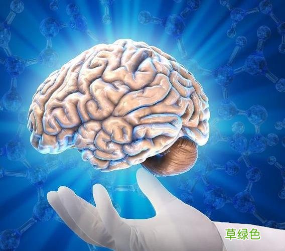 阿尔茨海默症是什么引起的 阿尔茨海默症前兆