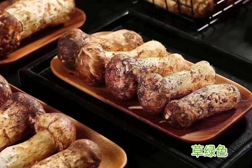 云南的松茸好还是长白山的好 长白山松茸好还是云南松茸好