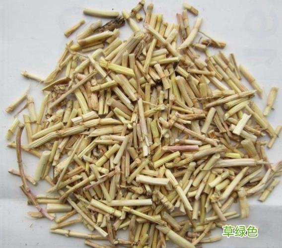 中药白茅根的作用 白茅根的作用