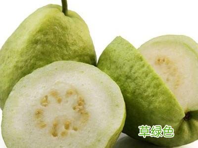 番石榴的功效与作用能降糖 番石榴的功效