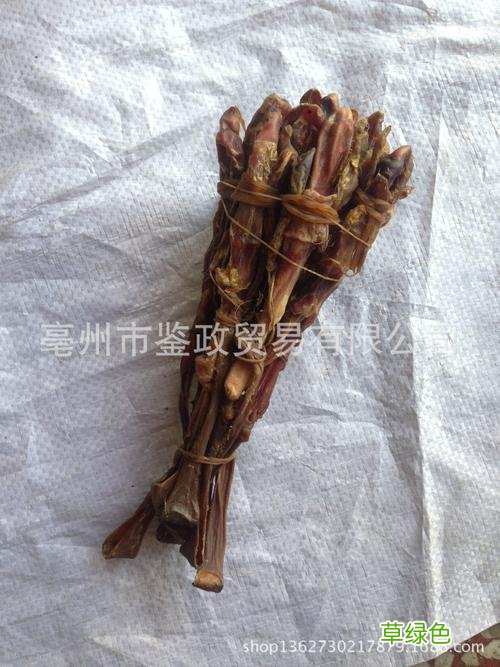 海狗鞭壮阳吗 海狗鞭壮阳吗