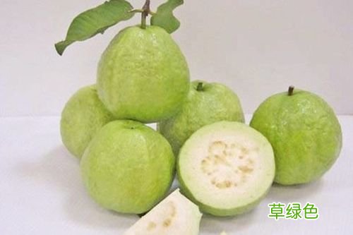 白心芭乐的功效与作用 芭乐的功效与作用