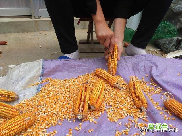 腊月二十四，农村家家打扫屋子掸尘除灰，扫尘日的背后有特殊意义 修灶怎么选日子