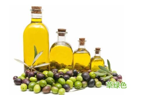 什么牌子的橄榄油最好最健康 橄榄油什么品牌好