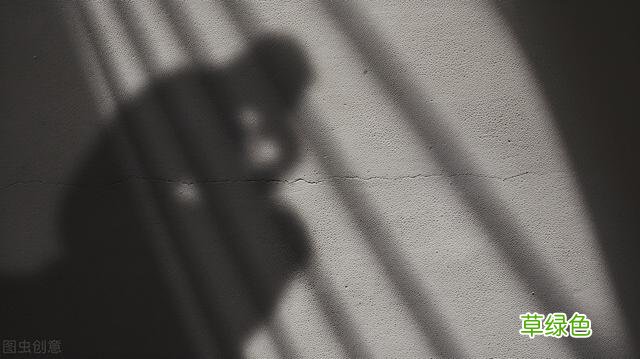 逆天奇案故事：水泥藏尸、证据全毁，凭死者妻子的一个小动作破案 吴财怎么取名字