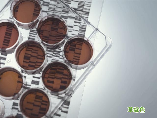 逆天奇案故事：水泥藏尸、证据全毁，凭死者妻子的一个小动作破案 吴财怎么取名字